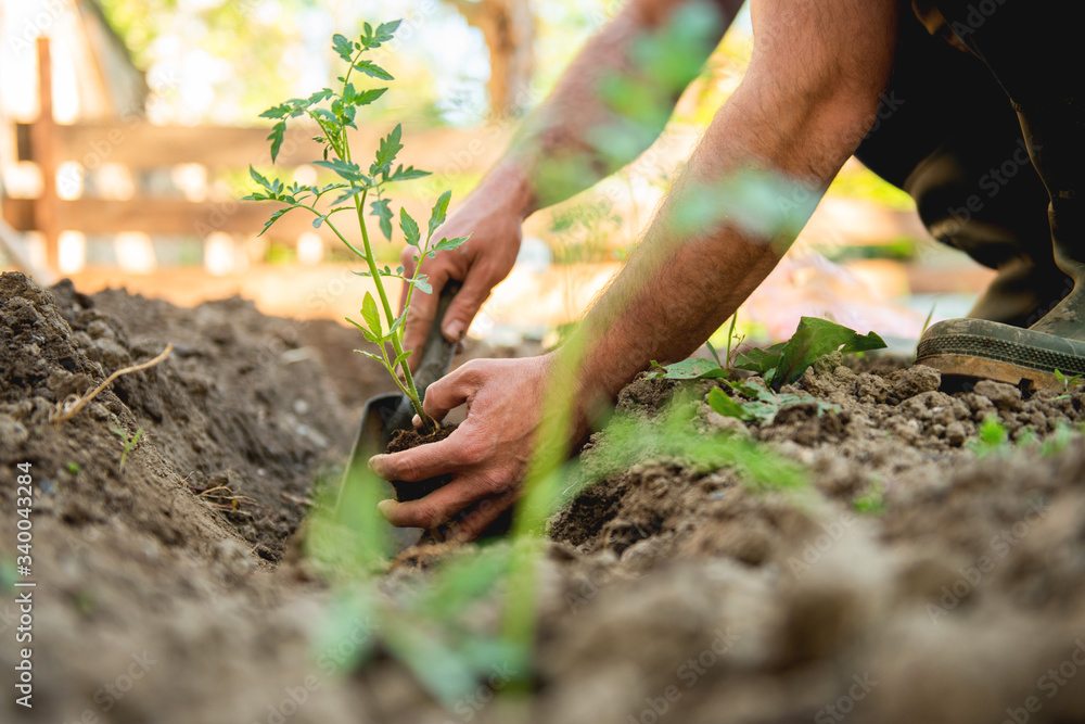 Entretien du jardin